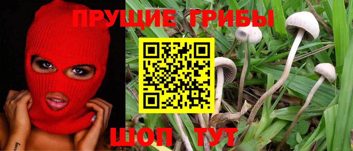 Донецк  наркота  Вход с VPN  Псилоцибиновые грибы Psilocybine cubensis  Галлюциногенные грибы MAGIC MUSHROOMS 
